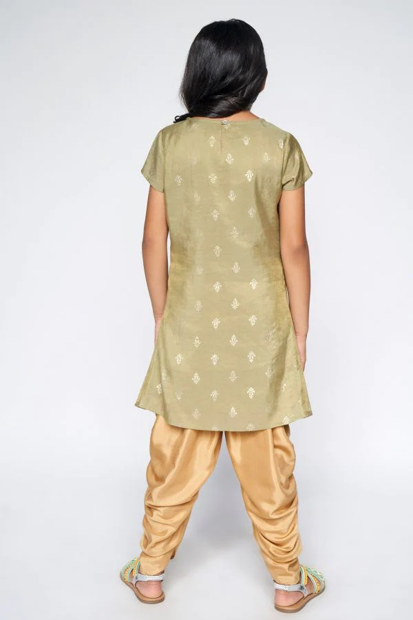 Sage Green Embellished Trapeze Kurta, Sage Green, image 3